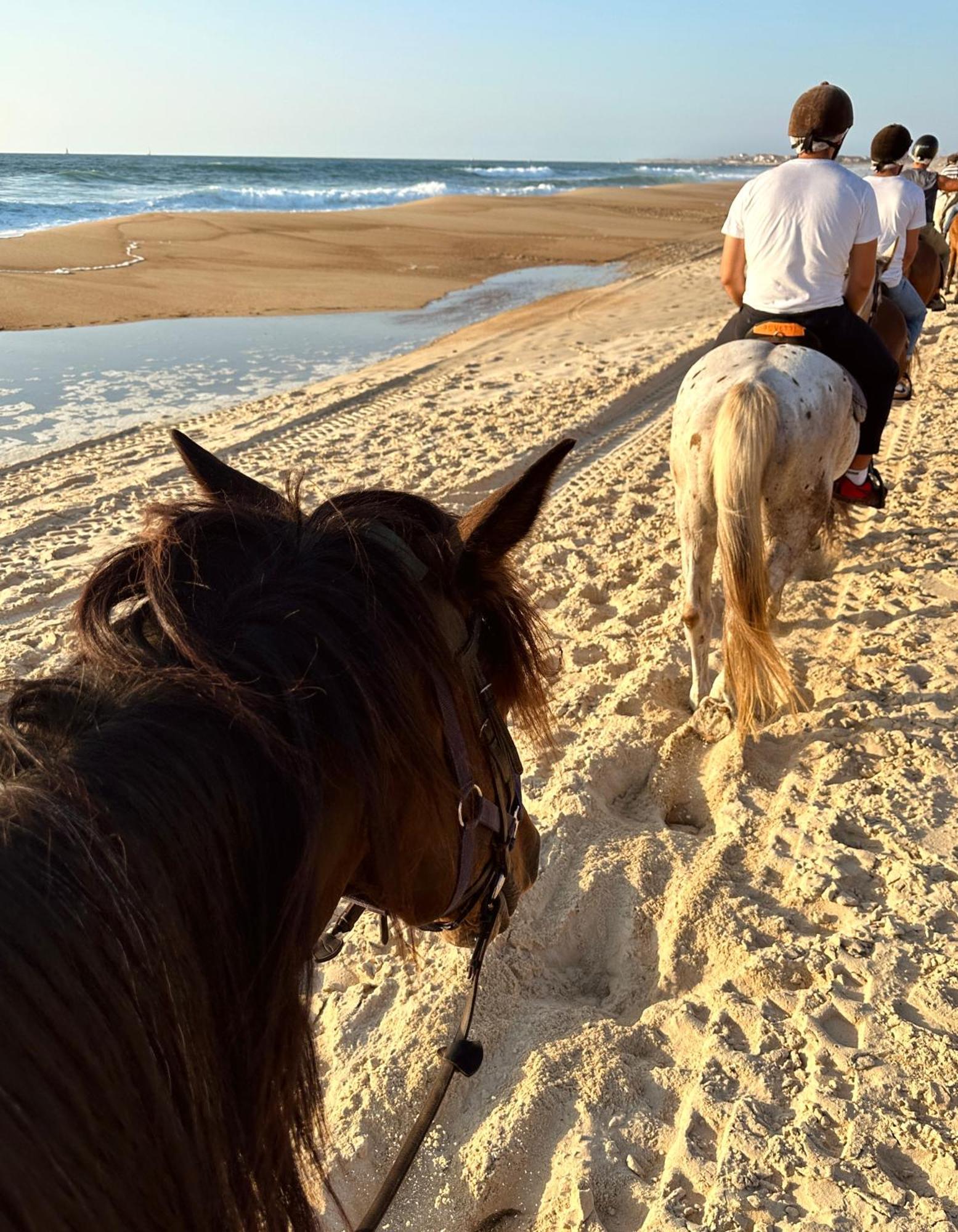 Aparra Surfcamp Capbreton 호텔 외부 사진